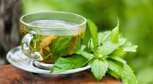 Peppermint Tea, weight loss and benefits