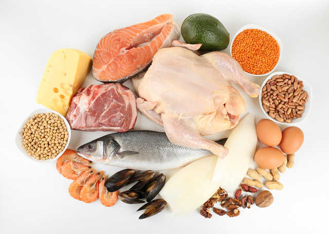 The best protein foods for weight loss