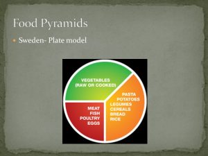 The Swedish Plate Model