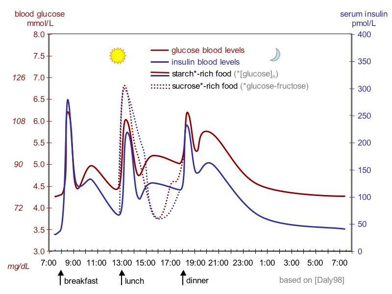 Wikipedia.org: The fluctuation of blood sugar (red) and the sugar-lowering hormone insulin (blue) in humans during the course of a day with three meals.